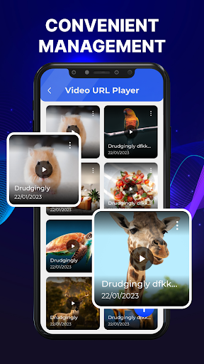 MAX Player - Live Video Player Screen 2