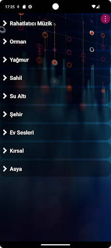 Uygulama önizlemesi