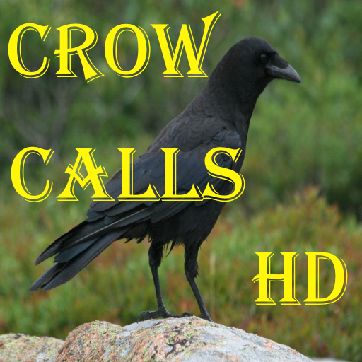 Crow Calls HD  Icon