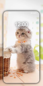 Cute Cat Wallpaper Live HD - Apps on Google Play