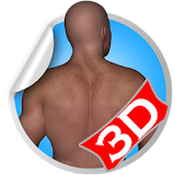 Back 3D Fitness Workout Sets icon