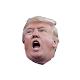 Trump Photo Meme Download on Windows