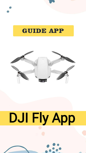 Dji Mavic Mini Guide Screen 3