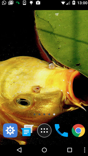 koi carp wallpaper Screen 2
