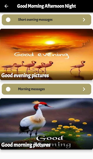 Good Morning Afternoon Night Screen 3