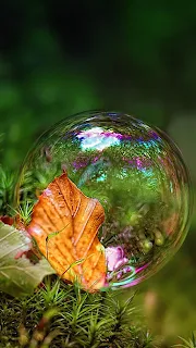 Bubble Wallpaper
