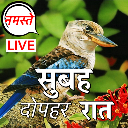 Hindi Good Morning to Night logo