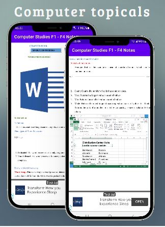 Computer studies: topicals Screen 3
