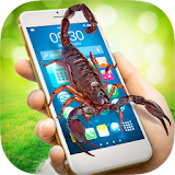Scorpion in Phone Prank icon