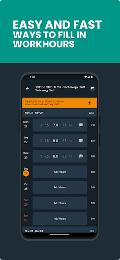 Omega 365 Timesheet Screen 2