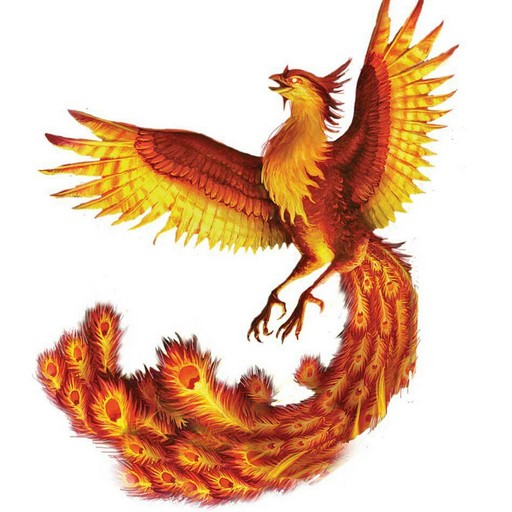 Peacock Wallpaper logo