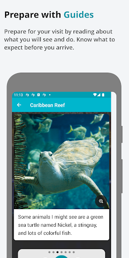 SensoryFriendly Shedd Aquarium Screen 2