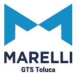 Marelli GTS icon