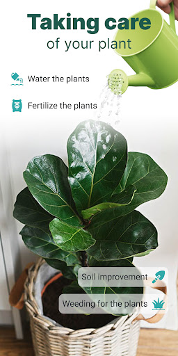 Plantid - Plant Identification - Education - apps