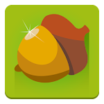 Cover Image of Download Wild Nuts - best squirrel game 1.1 APK