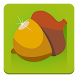 Wild Nuts - best squirrel game - Androidアプリ