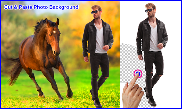 Horse Photo Frames - 1.1.2 - (Android)