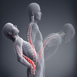 Icon image low back pain exercises