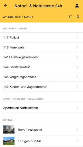 Berner Oberland Screen 3