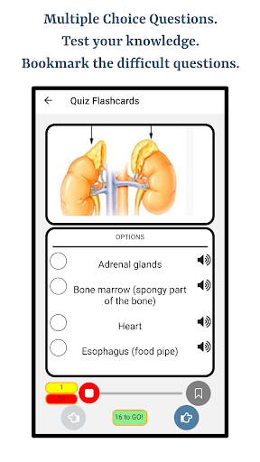 Learn About Human Organs Screen 3