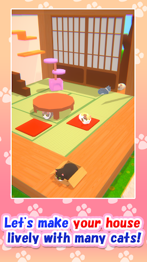Aerial Cat Screen 3