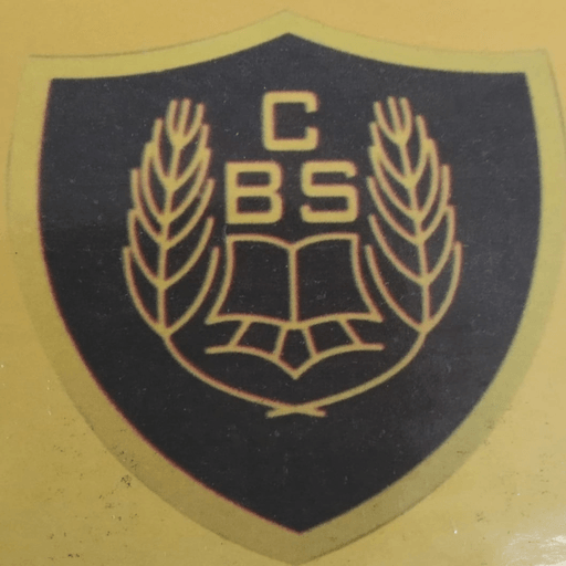 CBS Public School