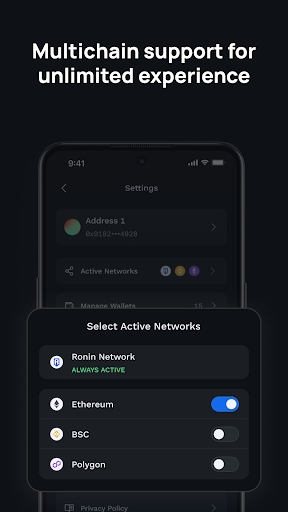 Screenshot of Ronin Wallet