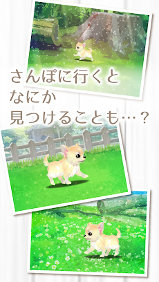 癒しの子犬育成ゲーム〜チワワ編〜のおすすめ画像4