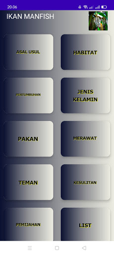 Budidaya ikan hias Manfish