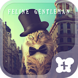Cat  Theme-Feline Gentleman- icon