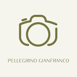 Gianfranco Pellegrino icon