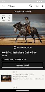 North Star Horse Sales