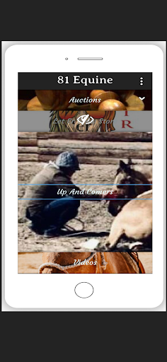 81 Equine Screen 3