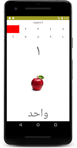 Easy Arabic Learning Screen 3