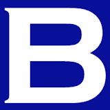 Boredbees Tech Solution icon