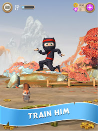 Clumsy Ninja poster 7