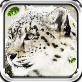 Snow Leopard Sounds HD LWP icon