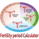 Fertility Period Calculator icon