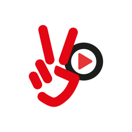 Video Street logo