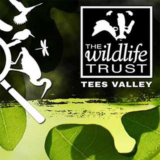 Tees Valley Wildlife Recorder