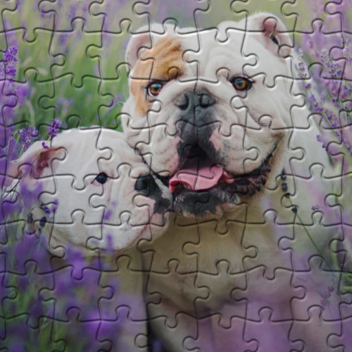 Bulldogs Jigsaw Puzzles logo