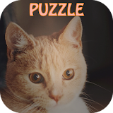 Kitty Puzzle : Cute Pets Party icon