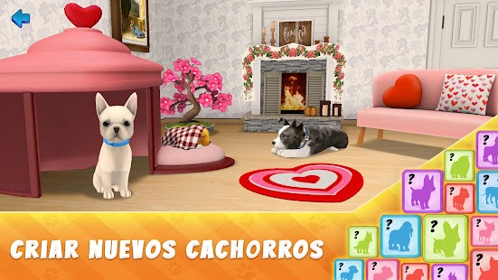 Dog Town: Juegos de perros Screenshot