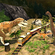 Safari Train Simulator