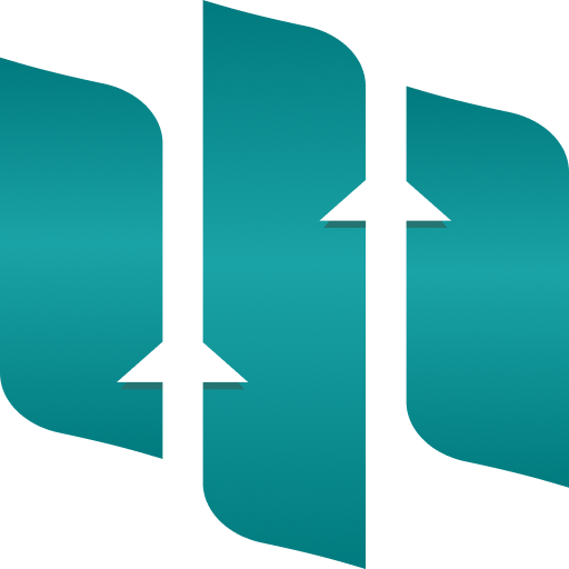 Moneyer logo