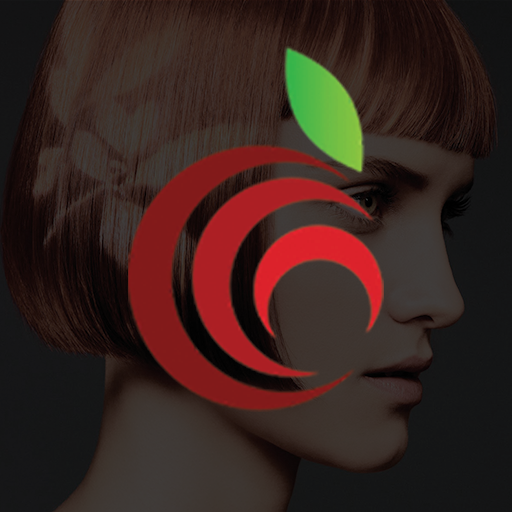 Pomme Salon logo