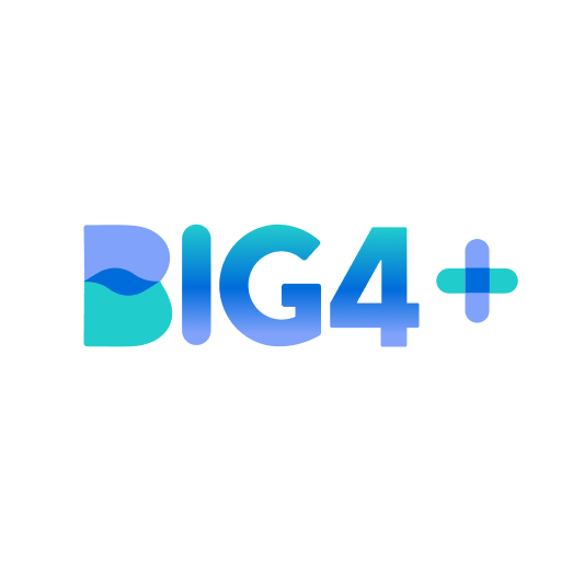 Big4+ logo