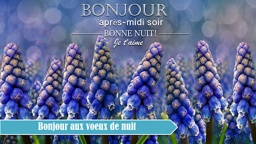 Android application French Good Morning to Night screenshort