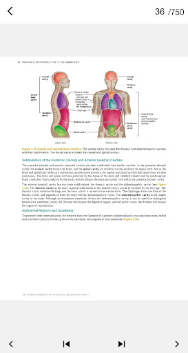 Book Anatomy and physiology Screen 3