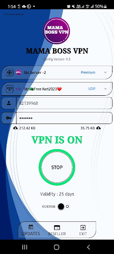 MamaBoss VPN